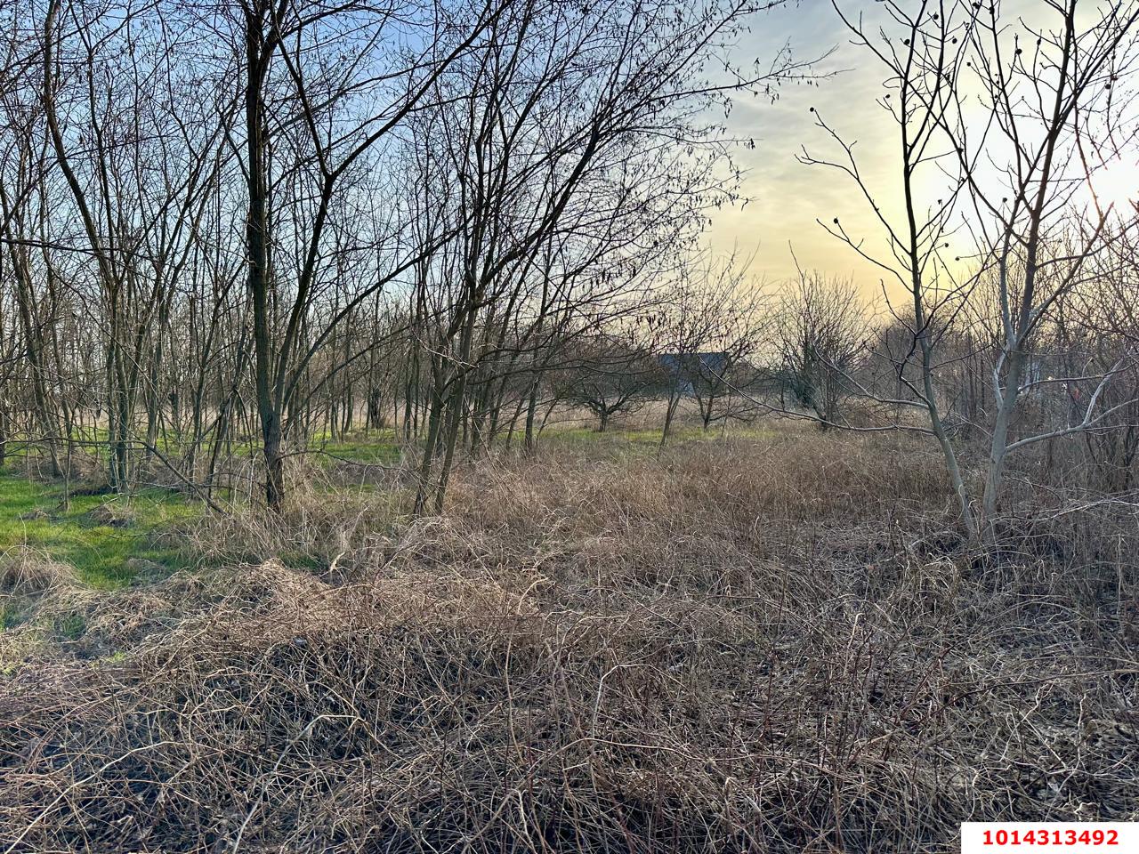 Фото №4: Земельный участок 9.2 сот. - Янтарь, мкр. Карасунский внутригородской округ, ул. Северная, 5