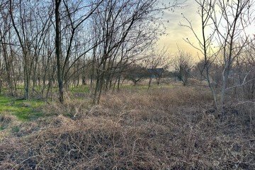 Фото №4: Участок садоводство 9.2 сот. - Янтарь, мкр. Карасунский внутригородской округ, ул. Северная, 5