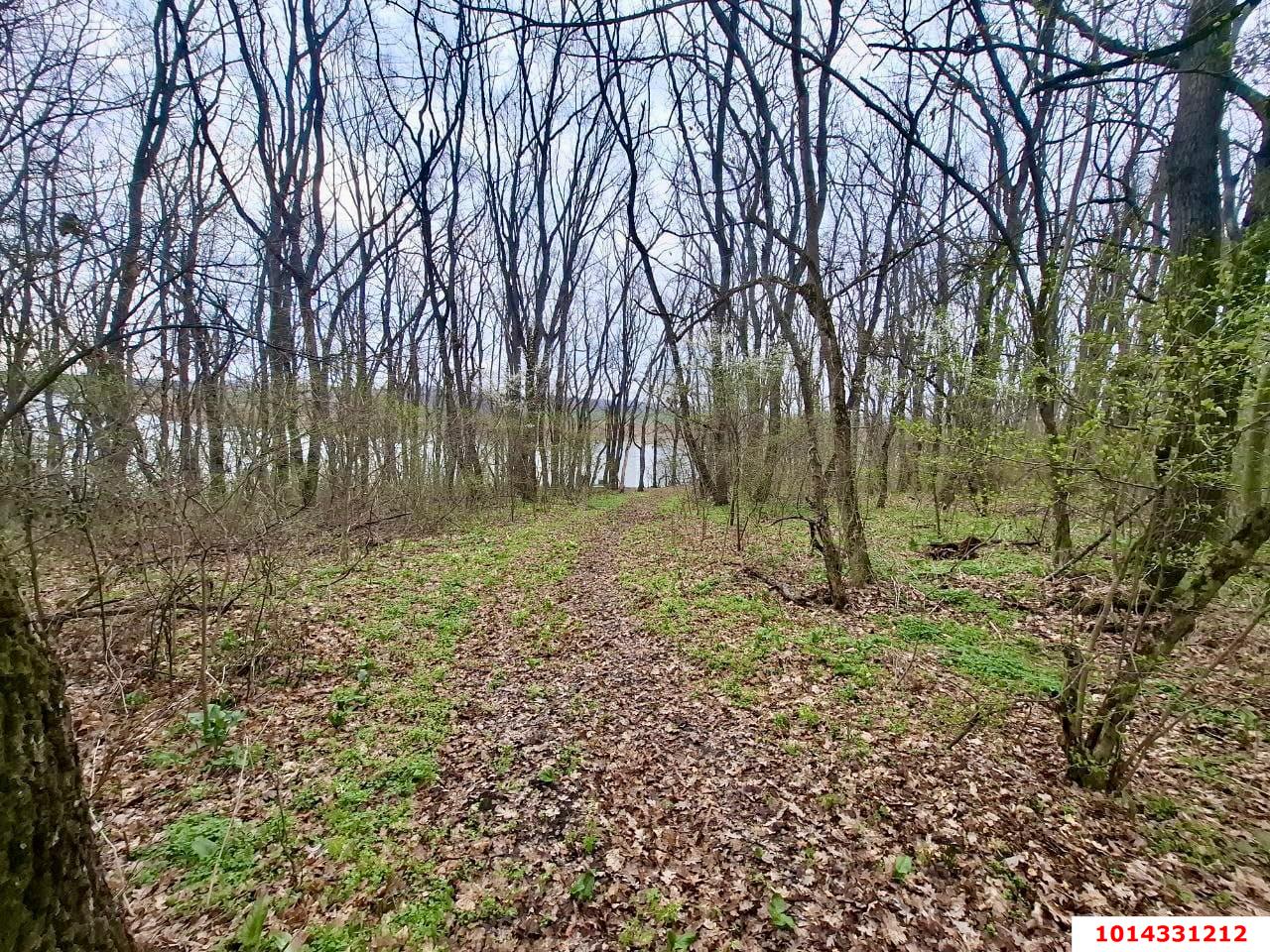 Фото №6: Коммерческая земля 9 сот. - Северская, ул. Северная, 2