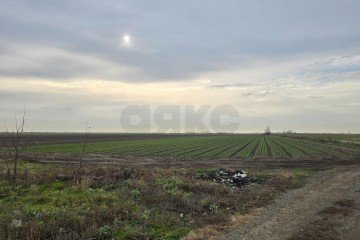 Фото №5: Коммерческая земля 842 сот. - Старонижестеблиевская, ул. Красная, 32