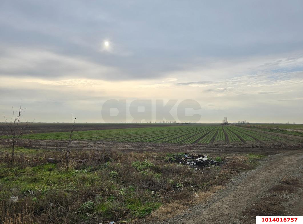 Фото №5: Коммерческая земля 842 сот. - Старонижестеблиевская, ул. Красная, 32