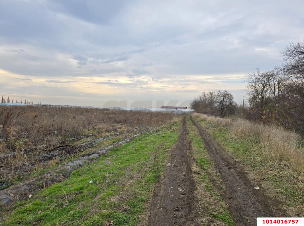 Фото №8: Коммерческая земля 842 сот. - Старонижестеблиевская, ул. Красная, 32