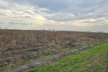 Фото №4: Коммерческая земля 842 сот. - Старонижестеблиевская, ул. Красная, 32