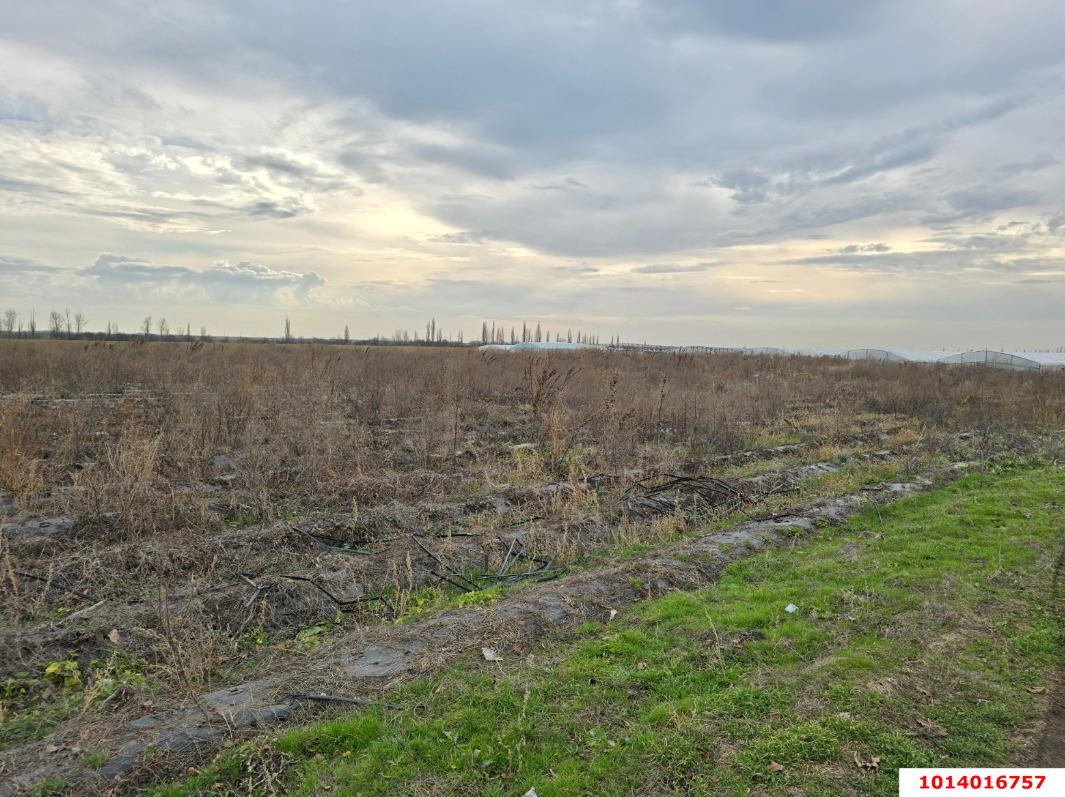 Фото №4: Коммерческая земля 842 сот. - Старонижестеблиевская, ул. Красная, 32