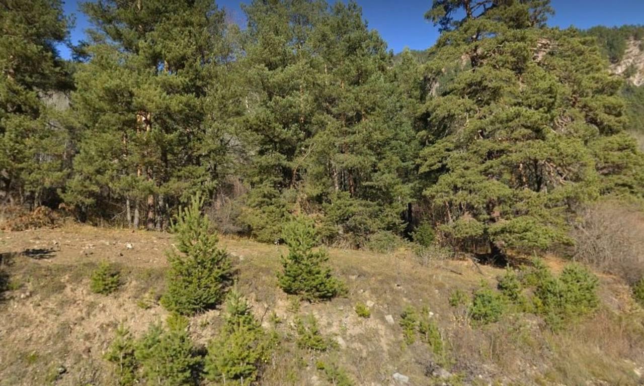 Фото №5: Коммерция 54 м² - Архыз, ул. 91Н-016, 5-й километр