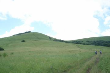 Фото №2: Земельный участок 241 сот. - Хребтовое, ул. Изумрудная, 17