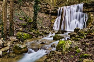 Фото №3: Земельный участок 241 сот. - Хребтовое, ул. Изумрудная, 17