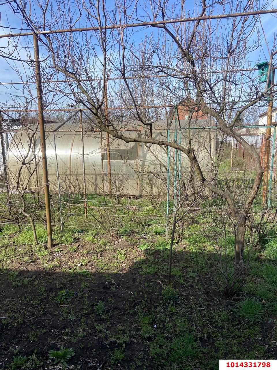 Фото №11: Дом 47 м² + 403 сот. - Электрон, Карасунский внутригородской округ, ул. Абрикосовая, 32