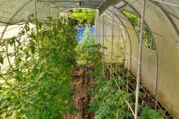 Фото №5: Дом 47 м² - Электрон, мкр. Карасунский внутригородской округ, ул. Абрикосовая, 41