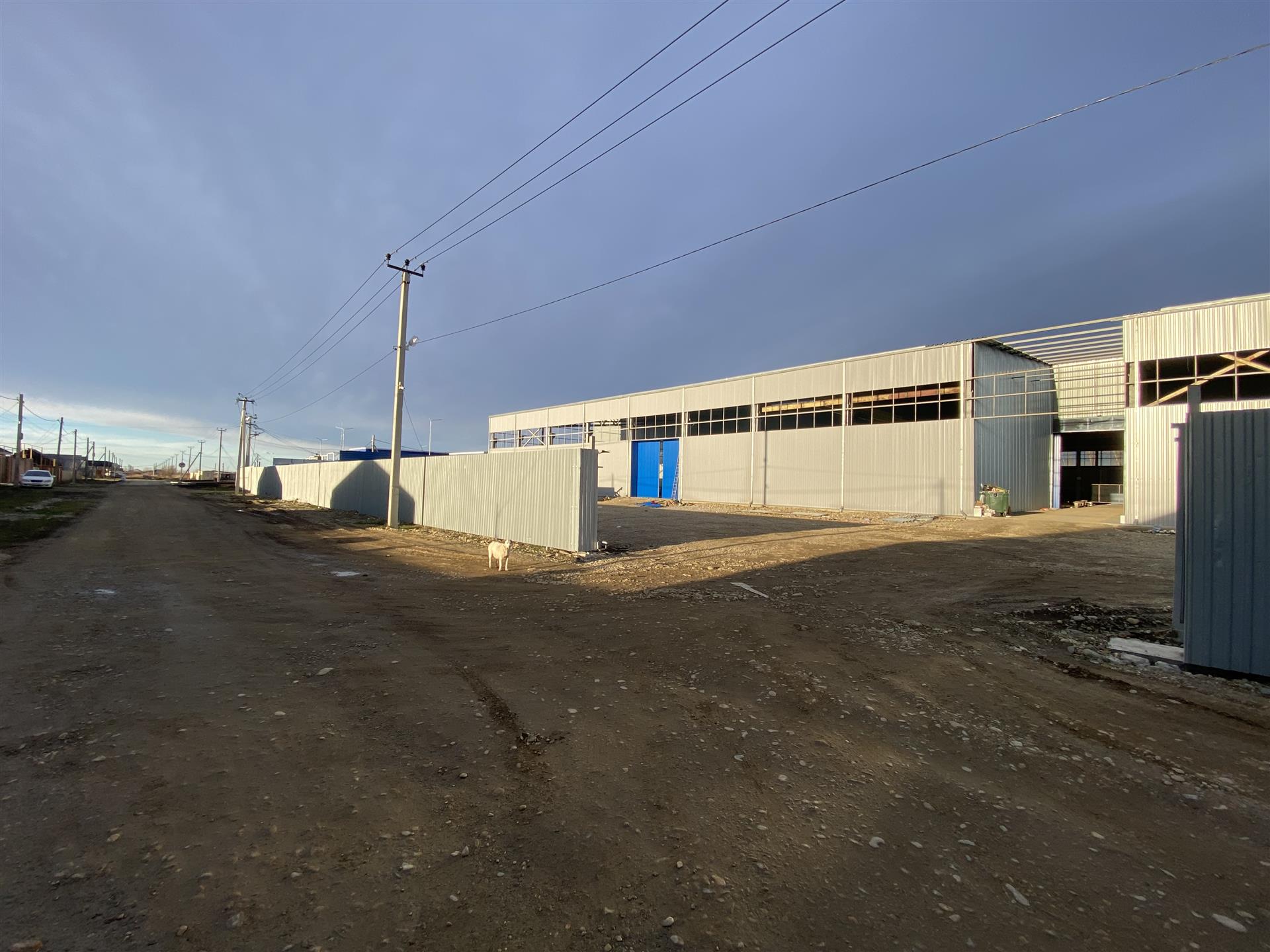 Фото №4: Коммерция <span class="whitespace-nowrap">2040 м²</span>, <span class="whitespace-nowrap">1/1 эт.</span> - МТФ № 2 колхоза имени Ленина