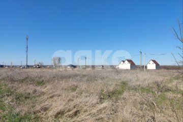 Фото №4: Личное подсобное хозяйство - Старотитаровская, ул. Черноморская, 40