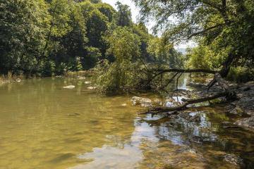 Фото №2: Коммерция 10 м² - ДНТ Фанагорийская усадьба, ул. Лазурная, 14