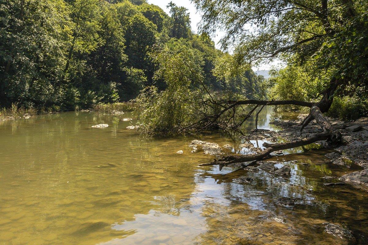 Фото №3: Коммерция 10 м² - ДНТ Фанагорийская усадьба, ул. Лазурная, 16