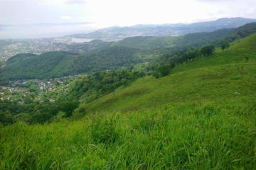 Фото №5: Коммерция 10 м² - ДНТ Фанагорийская усадьба, ул. Лазурная, 16