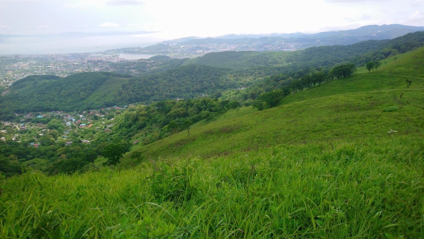 Фото №5: Коммерция 10 м² - ДНТ Фанагорийская усадьба, ул. Лазурная, 16