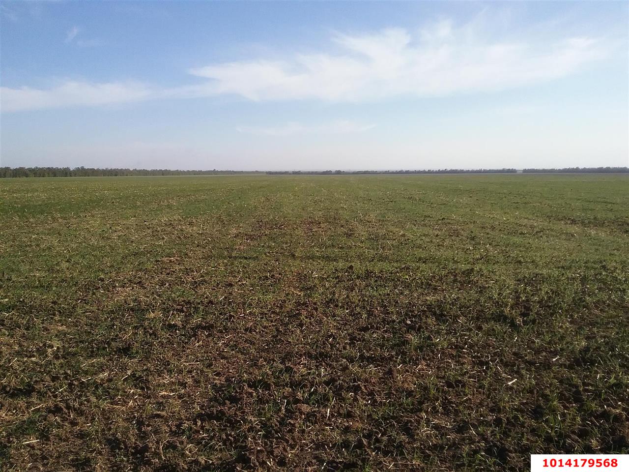 Фото №6: Коммерческая земля 1700 сот. - Ейское Укрепление, ул. Чкалова, 43