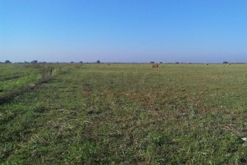 Фото №3: Коммерческая земля 1700 сот. - Ейское Укрепление, ул. Чкалова, 43