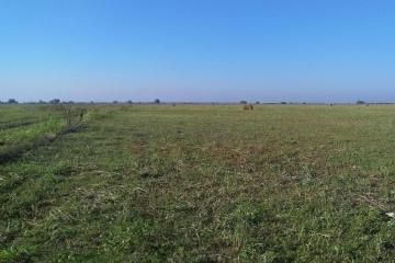 Фото №3: Коммерция 1700 м² - Ейское Укрепление, ул. Чкалова, 43