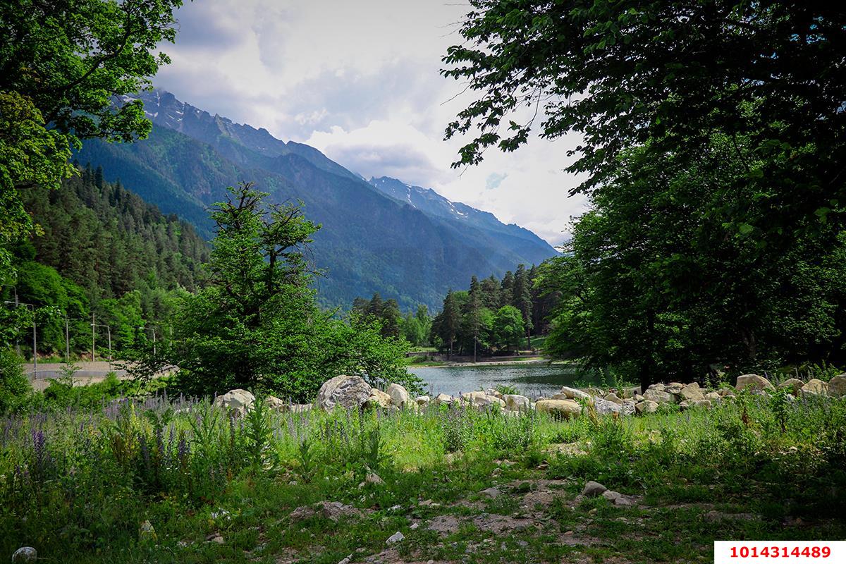 Фото №7: Земельный участок 93 сот. - Теберда