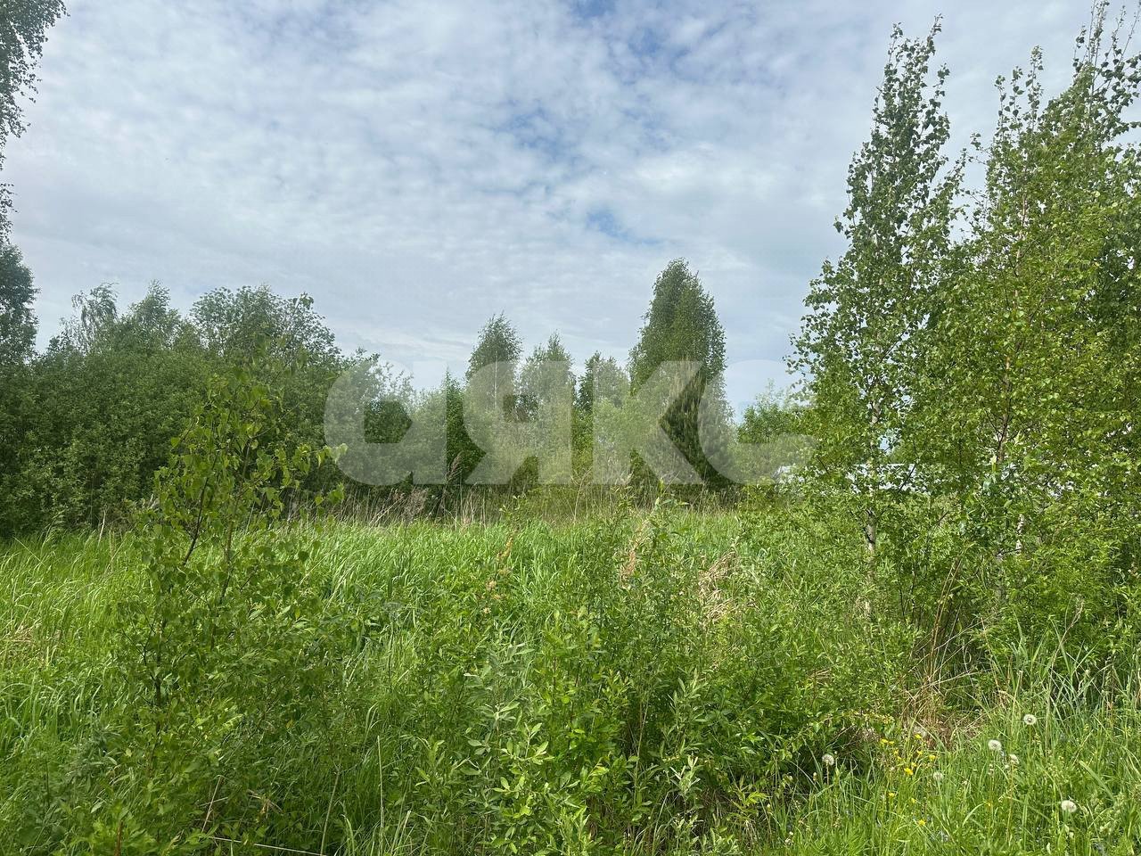 Фото №10: Земельный участок под ИЖС 6 сот. - Карпово, 