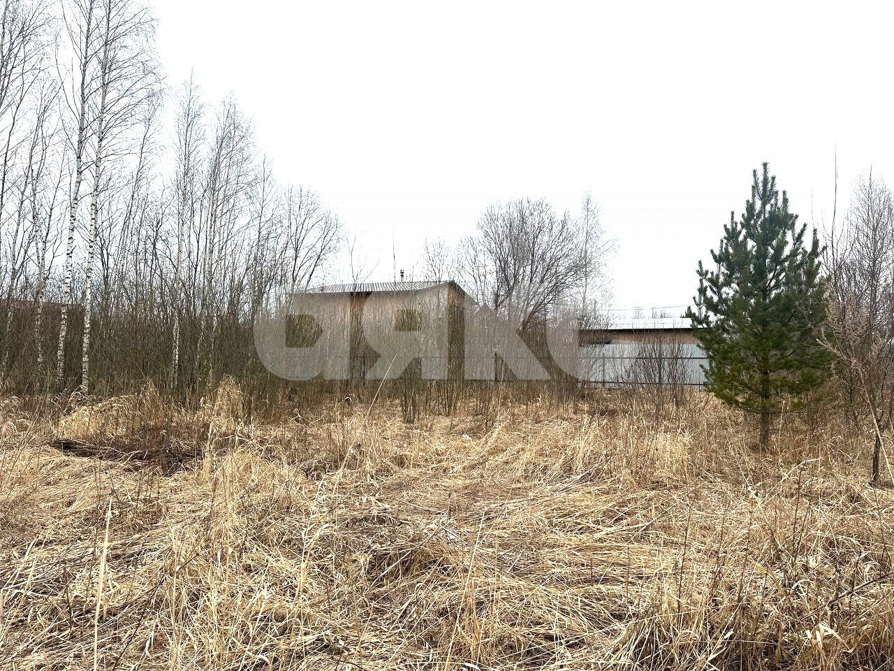 Фото №12: Земельный участок под ИЖС 6 сот. - Карпово, 