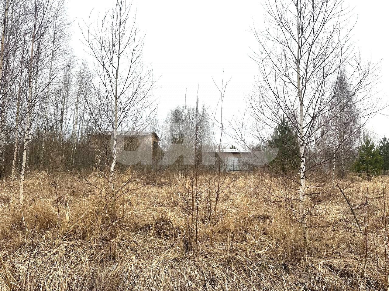 Фото №16: Земельный участок под ИЖС 6 сот. - Карпово, 
