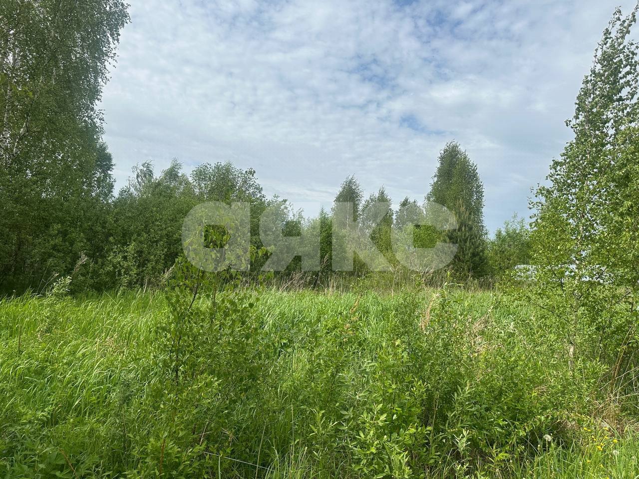 Фото №13: Земельный участок под ИЖС 6 сот. - Карпово, 