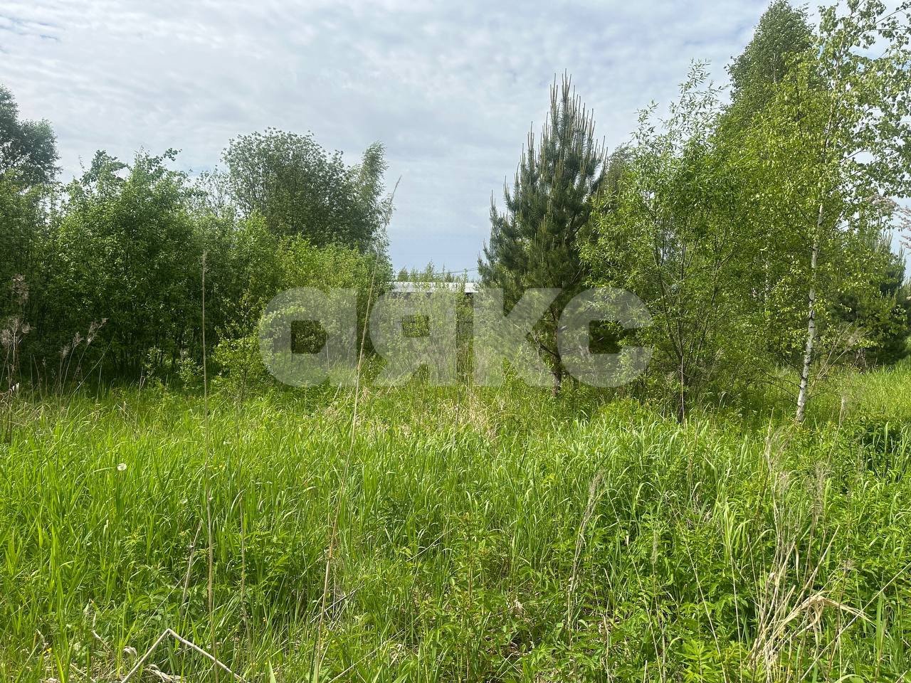 Фото №8: Земельный участок под ИЖС 6 сот. - Карпово, 