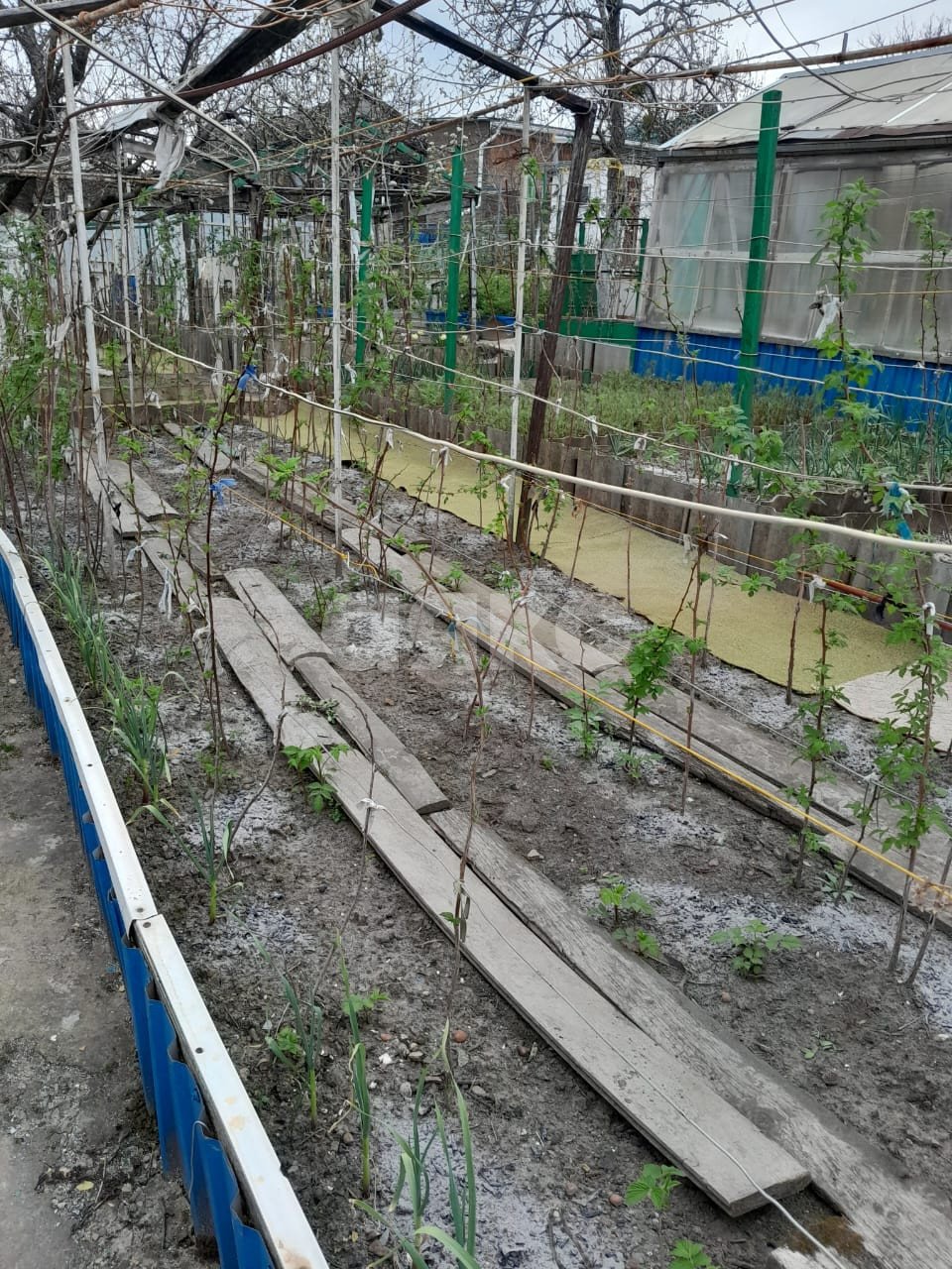 Фото №2: Земельный участок под ИЖС 6 сот. - Горячий Ключ, СТ Кунпанова Поляна, ул. Ореховая
