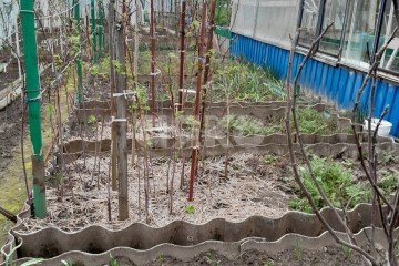 Фото №1: Земельный участок под ИЖС - Горячий Ключ, мкр. СТ Кунпанова Поляна, ул. Ореховая
