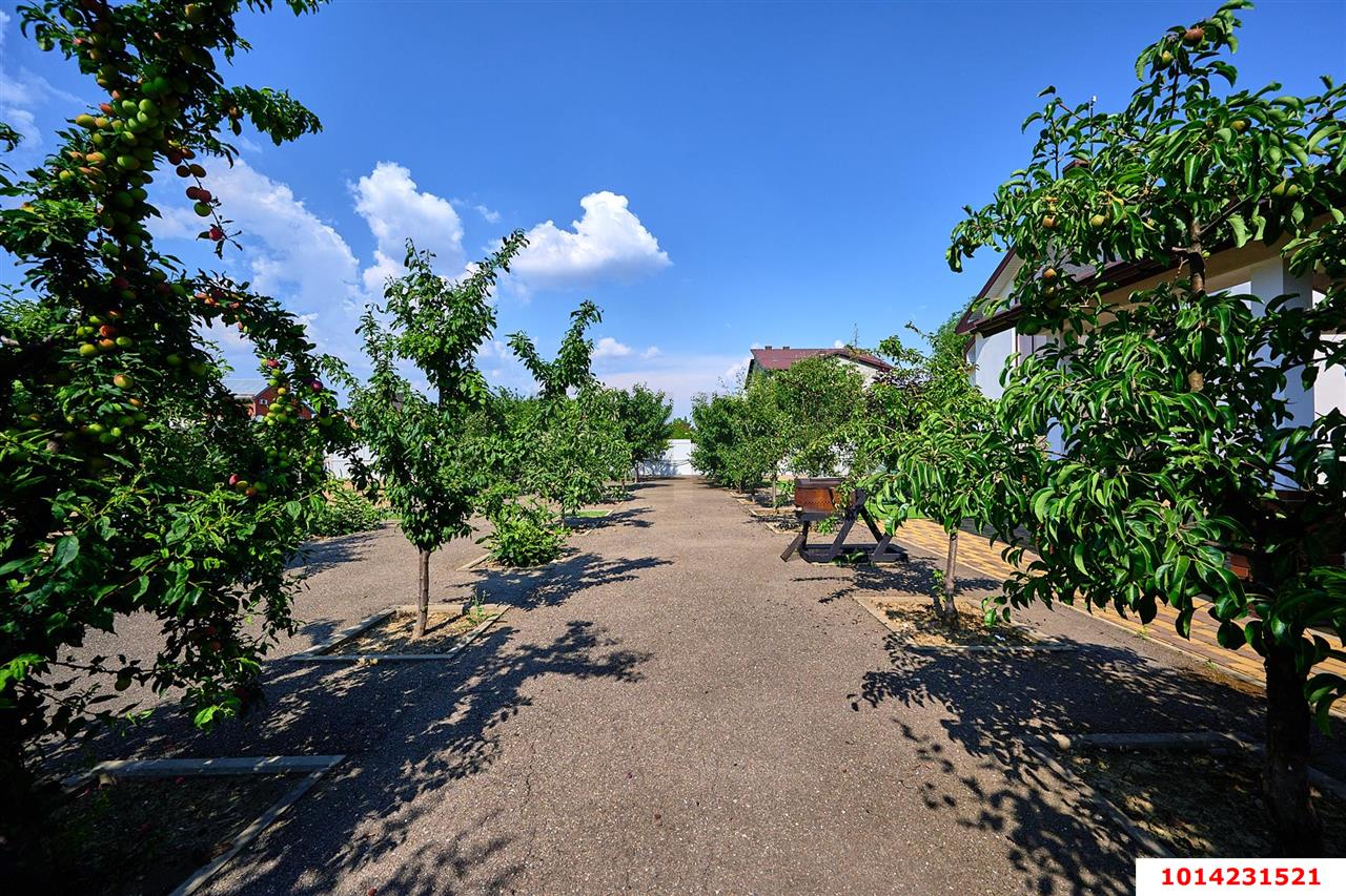 Фото №26: Дом 265 м² + 15 сот. - Козет, ул. Адыгейская, 69