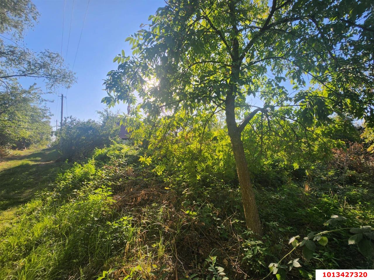 Фото №8: Участок садоводство 4.38 сот. - Шоссейное, Прикубанский внутригородской округ, ул. Линейная, 19