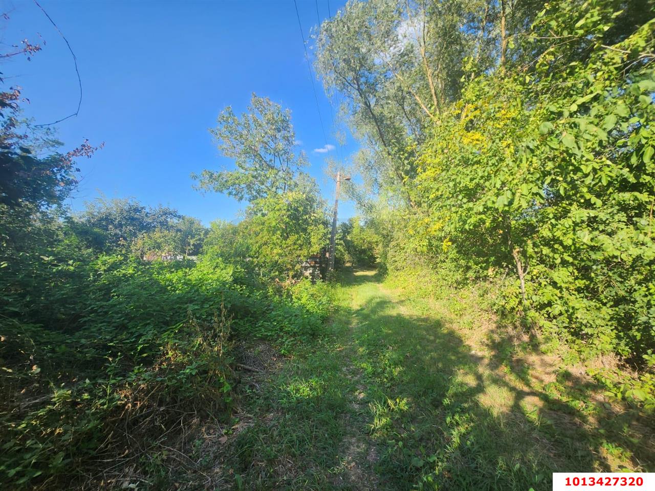 Фото №6: Личное подсобное хозяйство - Шоссейное, мкр. Прикубанский внутригородской округ, ул. Линейная, 19