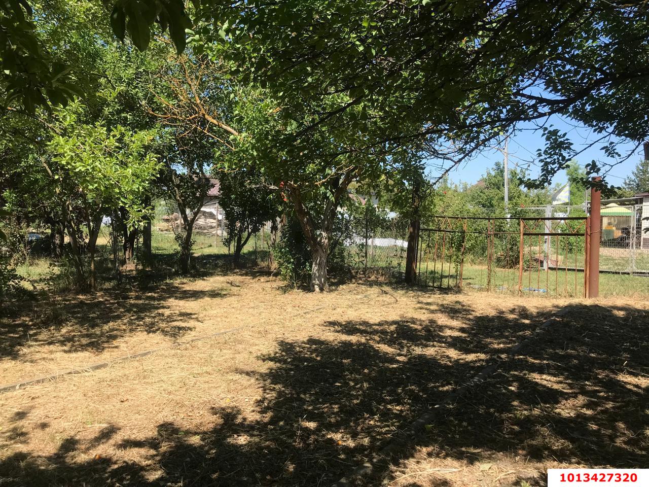 Фото №5: Личное подсобное хозяйство - Шоссейное, мкр. Прикубанский внутригородской округ, ул. Линейная, 19