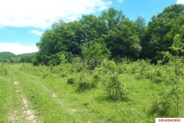 Фото №2: Коммерческая земля 250 сот. - Горячий Ключ, мкр. Курортная Зона, ул. Садовая, 3