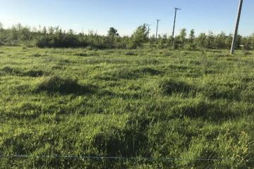 Фото №1: Коммерция 250 м² - Горячий Ключ, мкр. Курортная Зона, ул. Садовая, 3