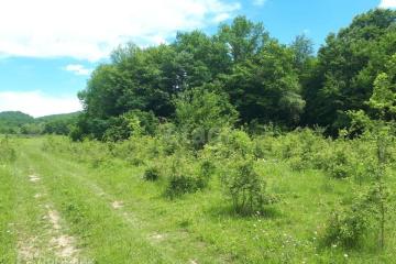 Фото №2: Коммерция 250 м² - Горячий Ключ, мкр. Курортная Зона, ул. Садовая, 3