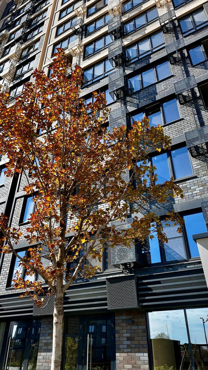 Фото №13: 1-комнатная квартира 38 м² - Краснодар, Центральный внутригородской округ, мкр. Черёмушки, ул. Обрывная, 132/1к17