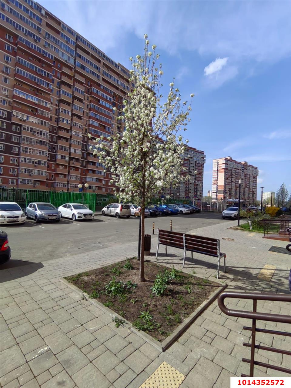 Фото №11: Офисное помещение 54 м² - Краснодар, жилой комплекс Премьера, ул. Автолюбителей, 1/7к3