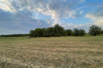 Фото №4: Земельный участок 7.99 сот. - садовое некоммерческое товарищество Авиатор, мкр. Прикубанский внутригородской округ, ул. Приканальная