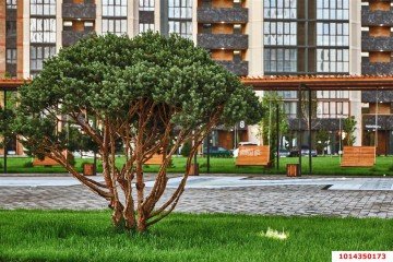 Фото №2: 1-комнатная квартира 47 м² - Краснодар, мкр. Образцово, ул. Штурвальная, 8