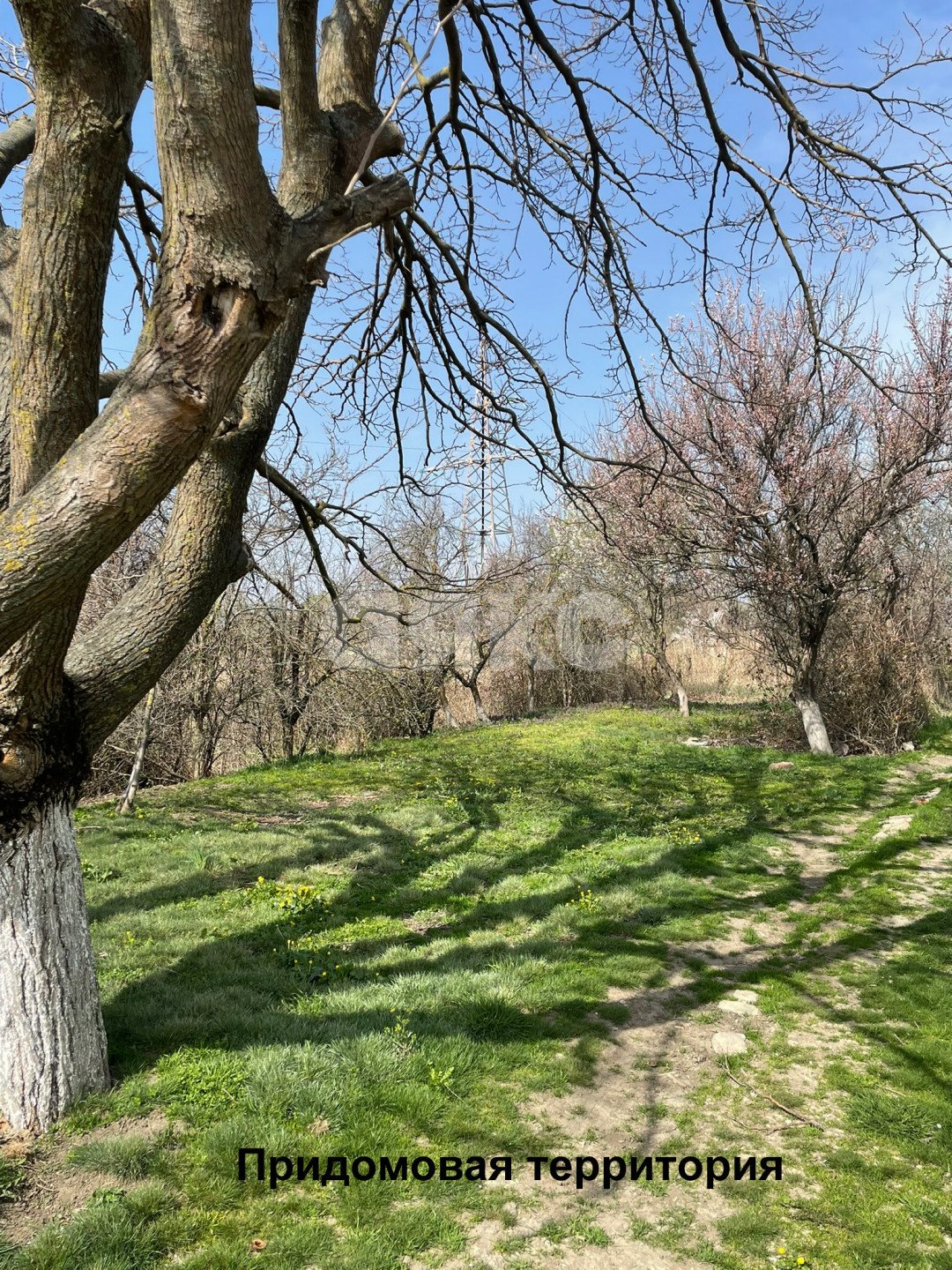 Фото №9: Земельный участок под ИЖС 6 сот. - Темрюк, ул. Декабристов, 20