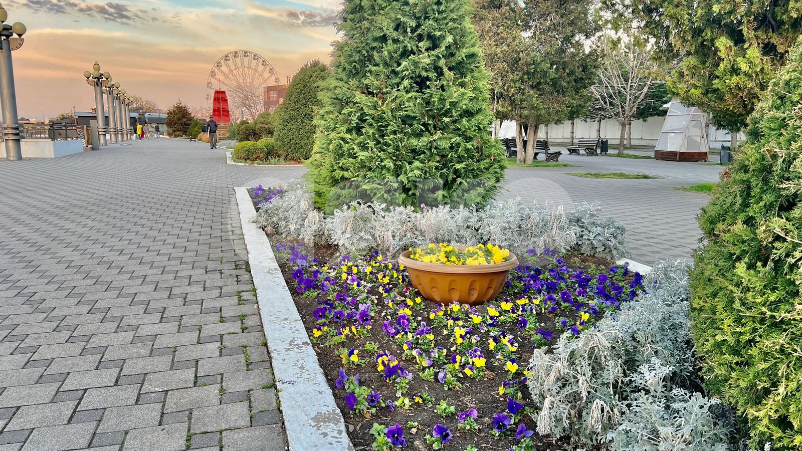 Фото №10: Земельный участок под ИЖС 3.6 сот. - Анапа, ул. Терская, 128