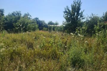 Фото №4: Земельный участок 4.12 сот. - Октябрьский, ст Тополь, ул. Озёрная, 34