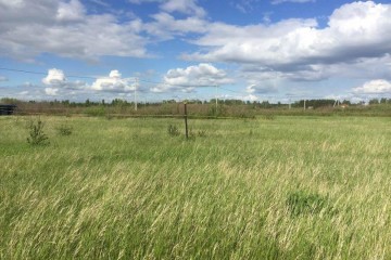 Фото №1: Участок садоводство 4.12 сот. - Октябрьский, ст Тополь, ул. Озёрная, 36