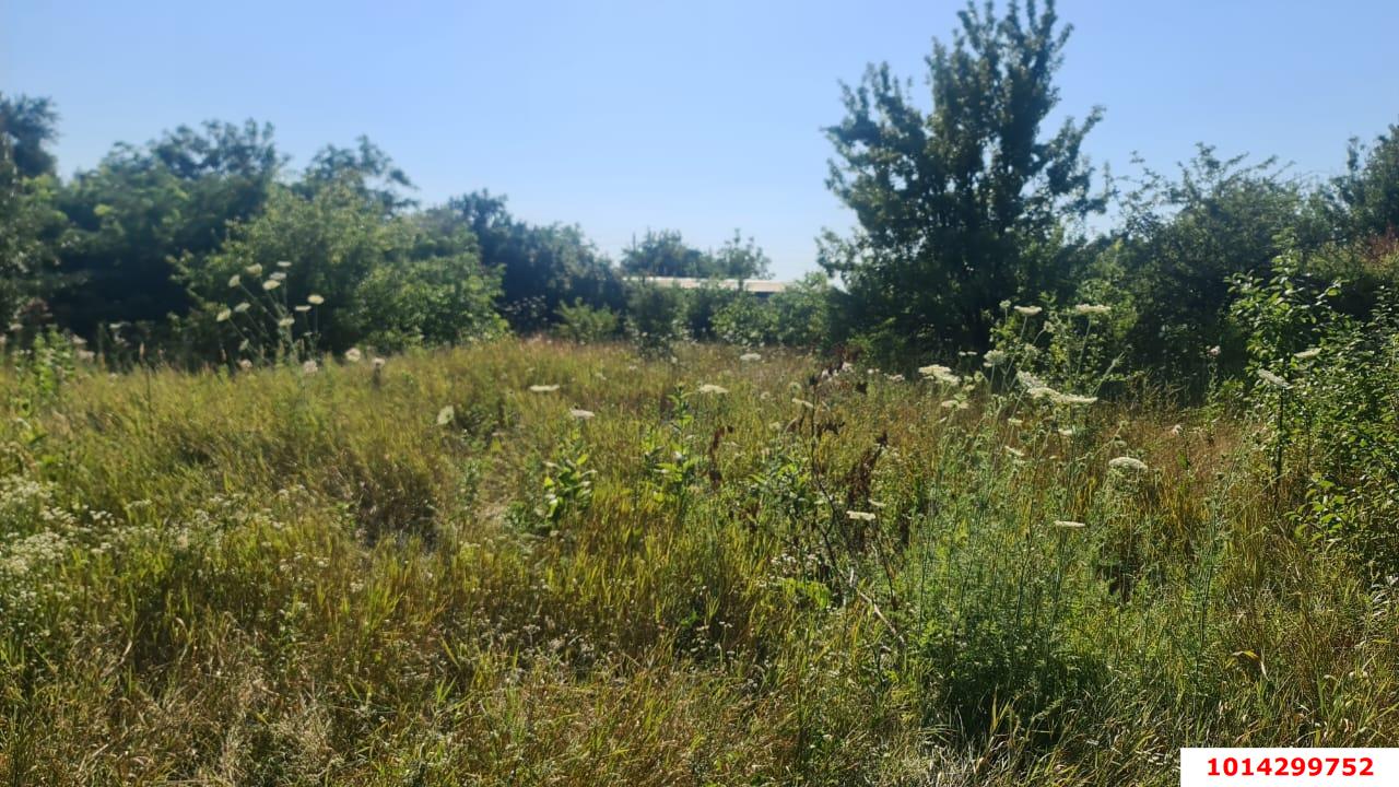 Фото №4: Земельный участок 4.12 сот. - Октябрьский, Прикубанский внутригородской округ, ст Тополь, ул. Озёрная, 38