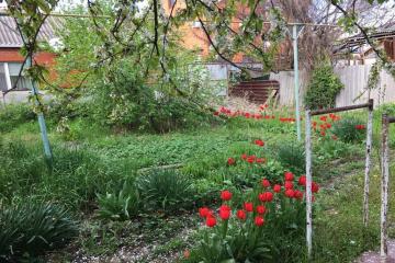 Фото №2: Земельный участок 6 сот. - Краснодар, мкр. Центральный, ул. Рыбачья, 22