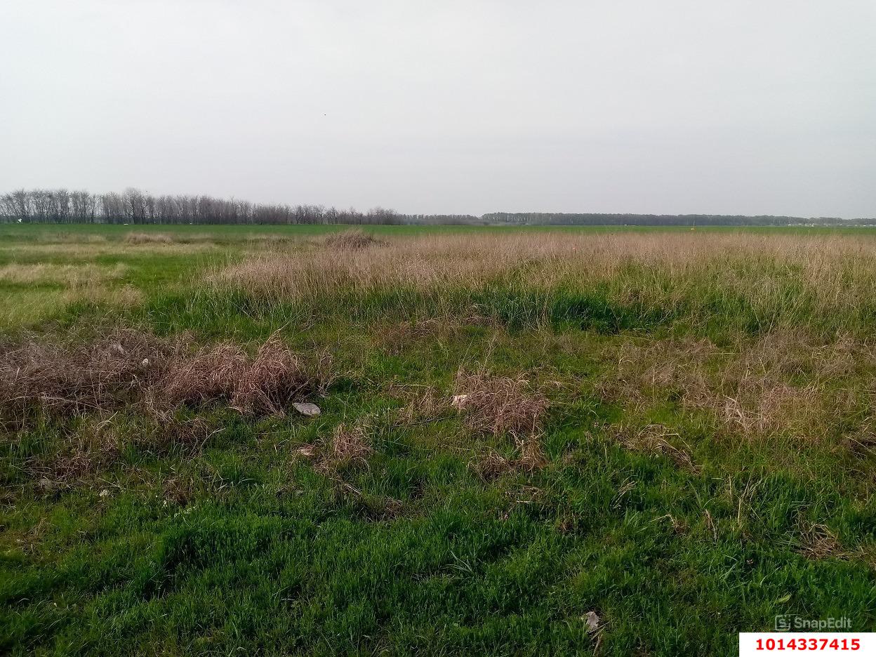 Фото №5: Участок садоводство 3.01 сот. - Краснодар, Новознаменский, ул. Сапфировая, 6