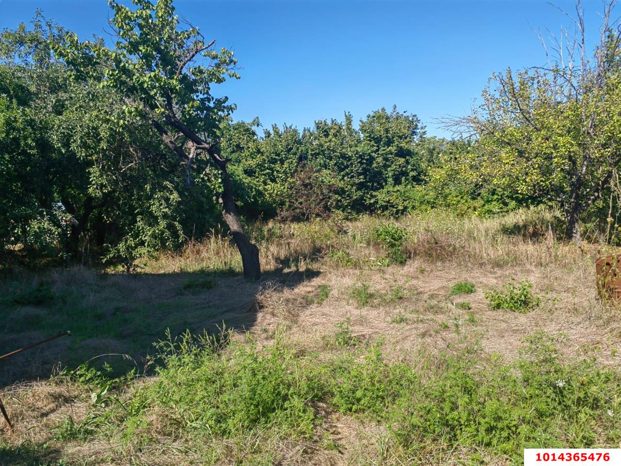 Фото №6: Участок садоводство 10 сот. - Елизаветинская, Связист-2, ул. Абрикосовая