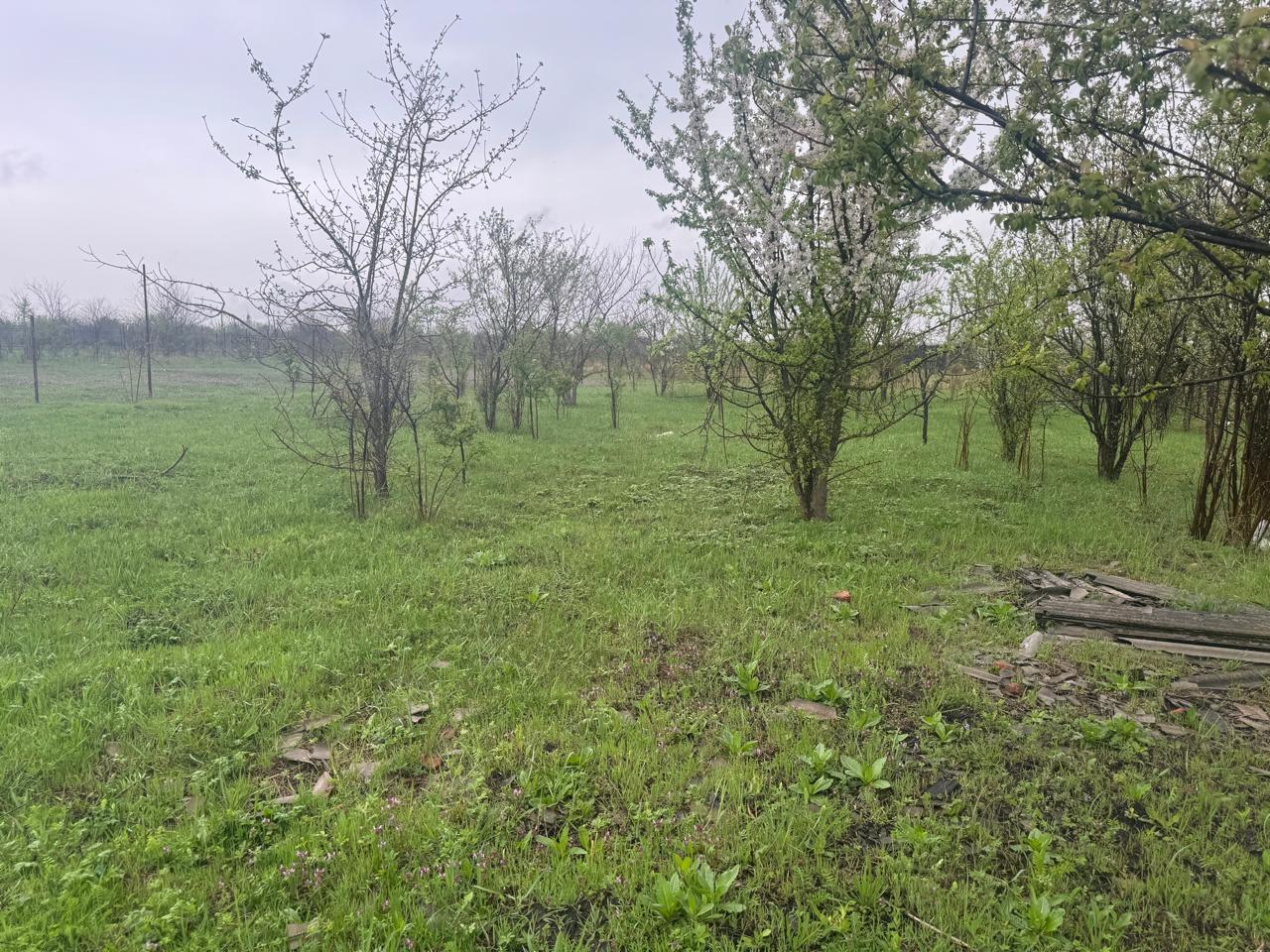Фото №4: Земельный участок 7 сот. - Козет, мкр. СТ Яблонька, ул. Абрикосовая, 14